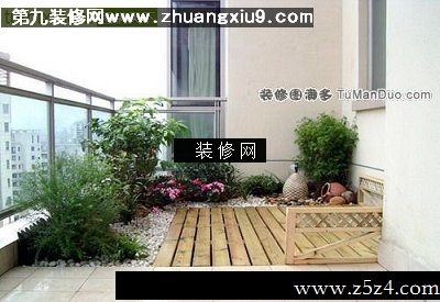 中式阳台实景图绿植