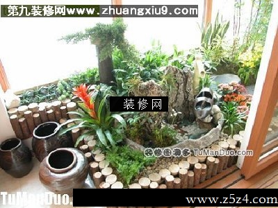 阳台上的小花园阳台实景图绿植