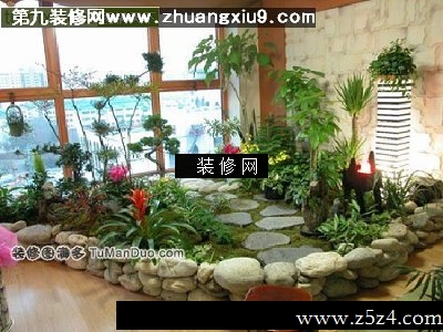 阳台上的小花园阳台实景图绿植