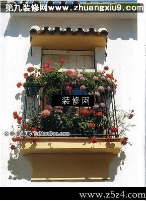 流行中式阳台实景图绿植