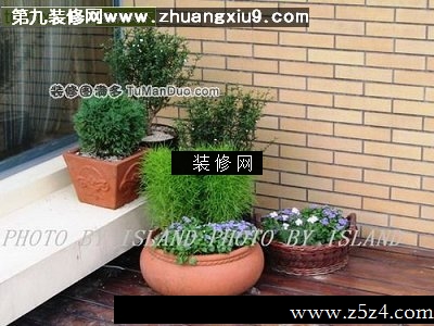 流行中式阳台实景图绿植