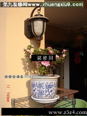 中式阳台实景图绿植