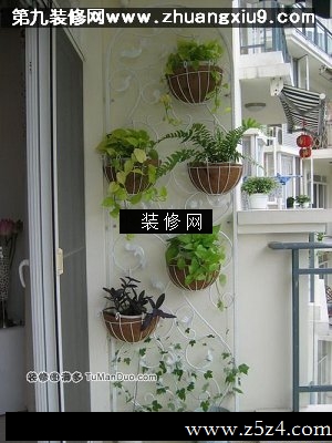 中式阳台实景图绿植
