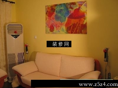 新婚房可爱客厅实景图沙发