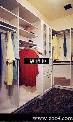 流行衣帽间实景图壁橱