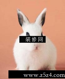 ʮФ ʲô[ͼ]