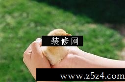 ʮФ ʲô[ͼ]