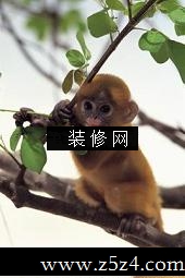 ʮФ ʲô[ͼ]