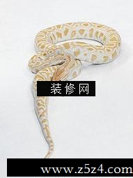 ʮФ ʲô[ͼ]
