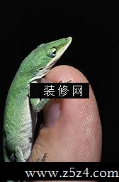 ʮФ ʲô[ͼ]