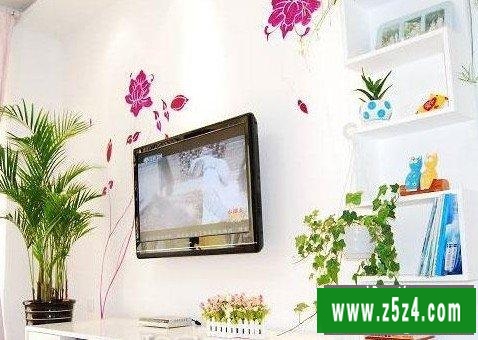 由手绘电视墙素材入手为你绘画多彩多样手绘电视墙图片